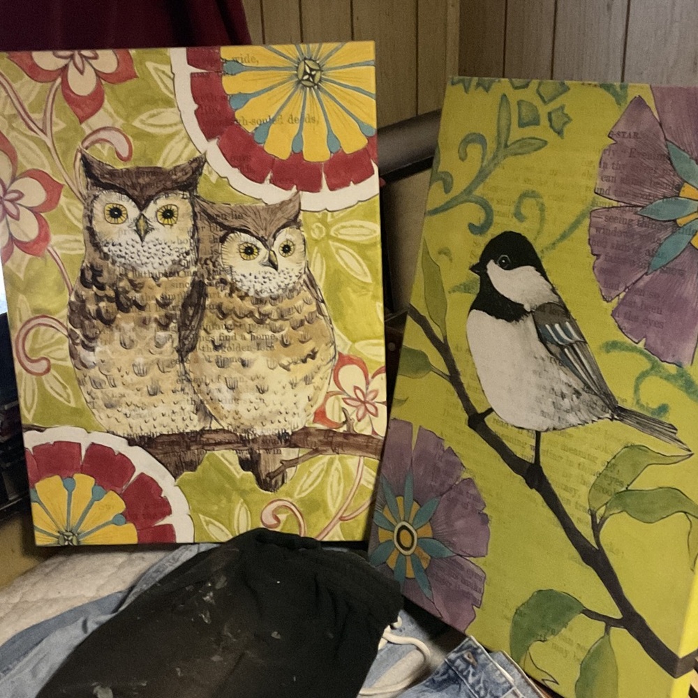 Colorful Owl and Bird Art Prints 2 pier 1 imports canvas art wall decor